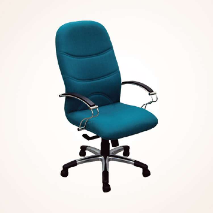 Director Chair (CDS-125L) Director Chair (CDS-125L)