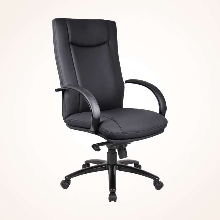 Director Chair (CDS-142R) Director Chair (CDS-142R)