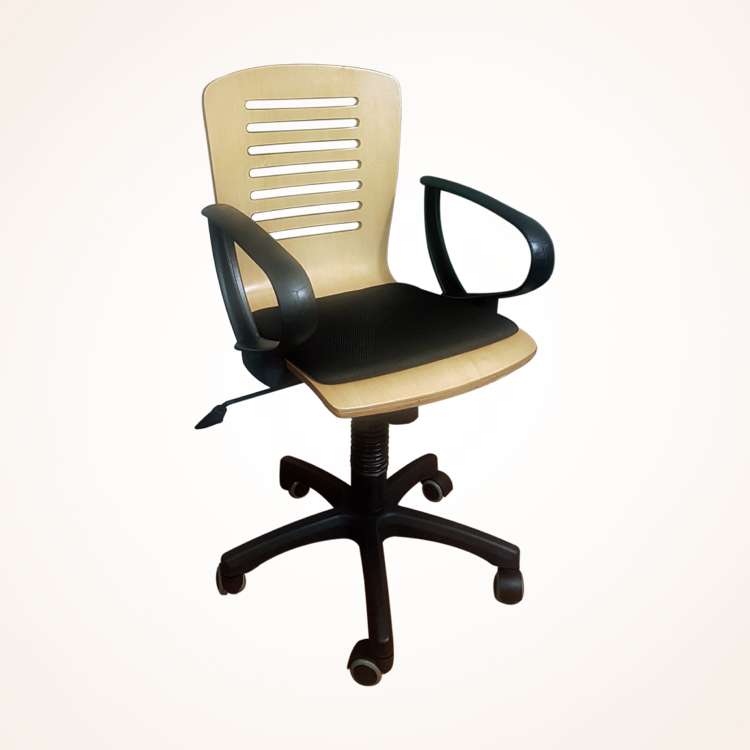 Executive Chair (CES-137R) Executive Chair (CES-137R)